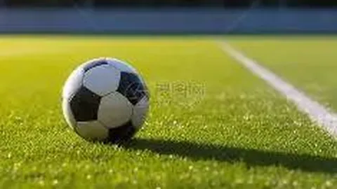 科比荣登篮球名人堂榜单 2025年奈史密斯名人堂新增成员