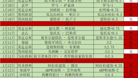 何塞·卢获安切洛蒂大力推崇：贡献非凡价值